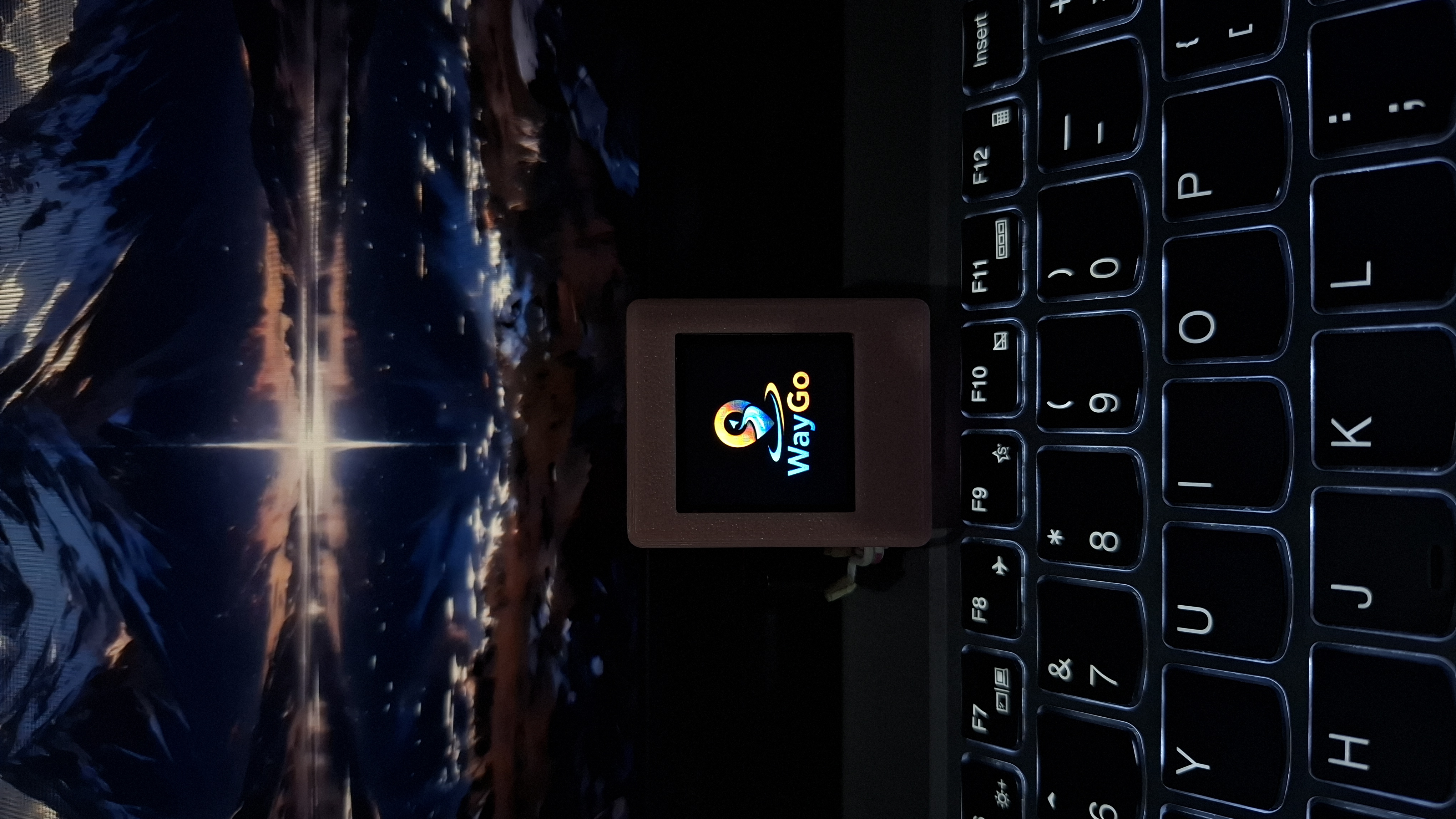 WayGo Device Front